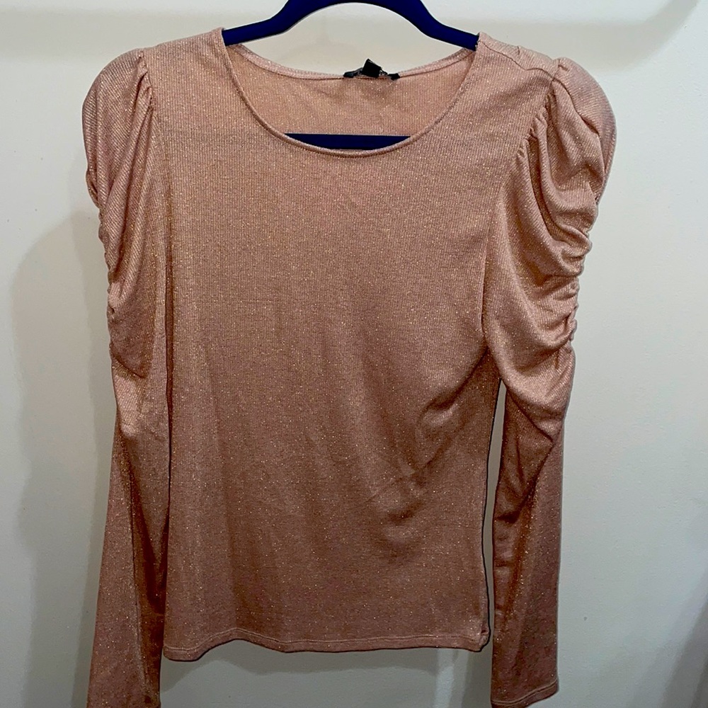 Express Long Sleeve Rose Shimmer Top